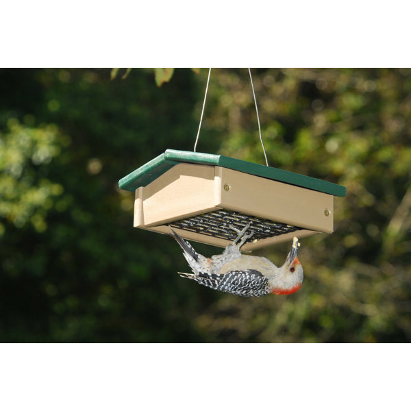 Songbird Essentials Hunter Upside Down Suet Bird Feeder Wayfair